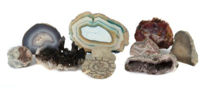 Sammlung Mineralien & Versteinerungen