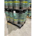 Pony Kegs 1/4 Barrel (11)