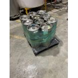 Pony Kegs (10) and Sixtel Kegs (2)