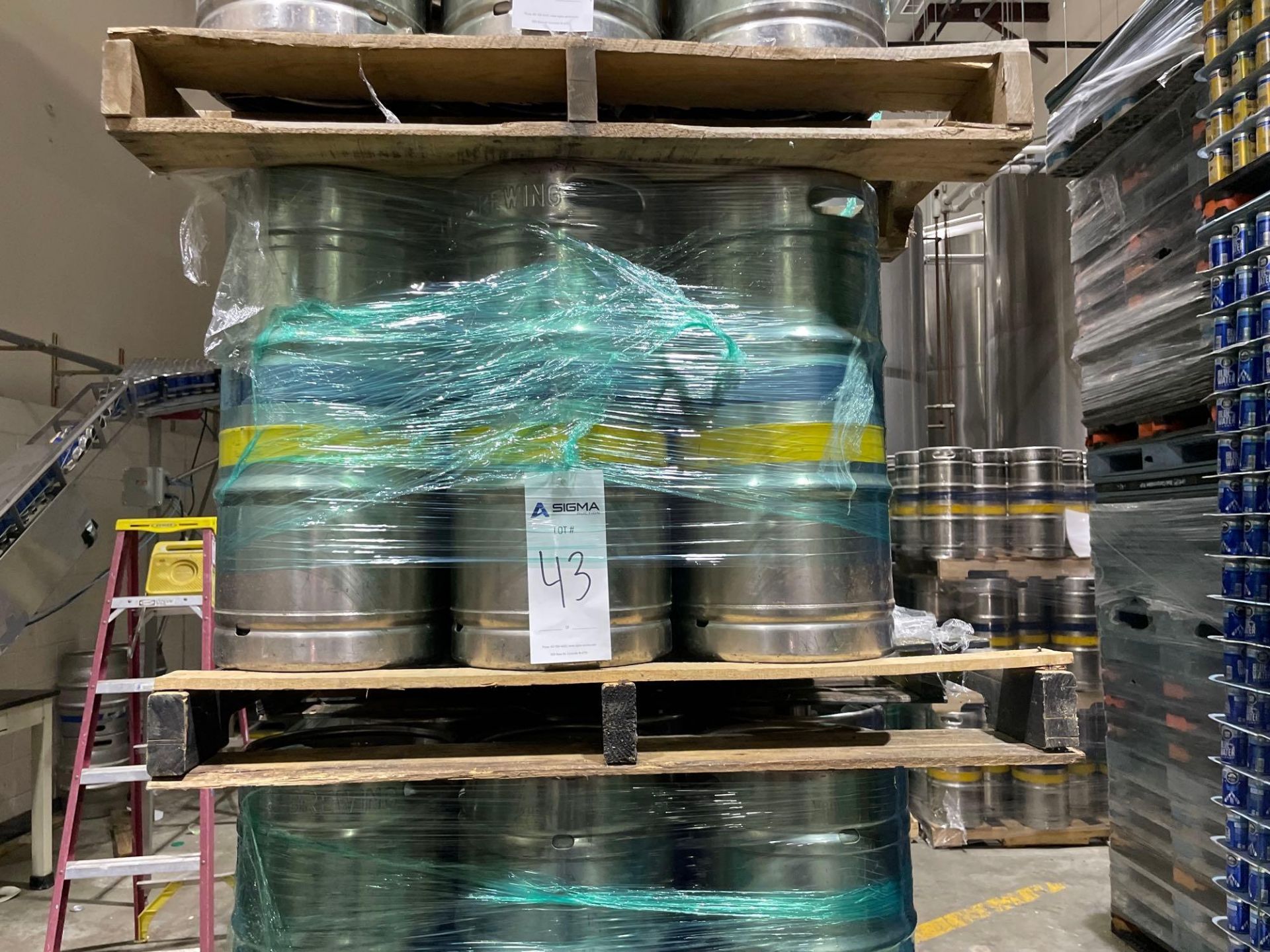 Pony Kegs 1/4 Barrel (12)