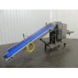 AC Horn ACHPC004 10" Wide Collating Conveyor