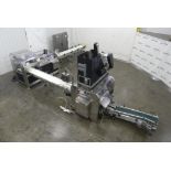 Fallas R400 Robotic Case Packer with Uppender