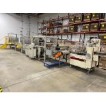 In-Line Blister Sealer with AmeriPak Horizontal Flow Wrapper