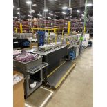 UltraPack Vertical Cartoner with Rotary Feeder