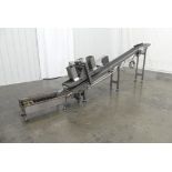 Bag Flattening and Belt Incline Conveyor