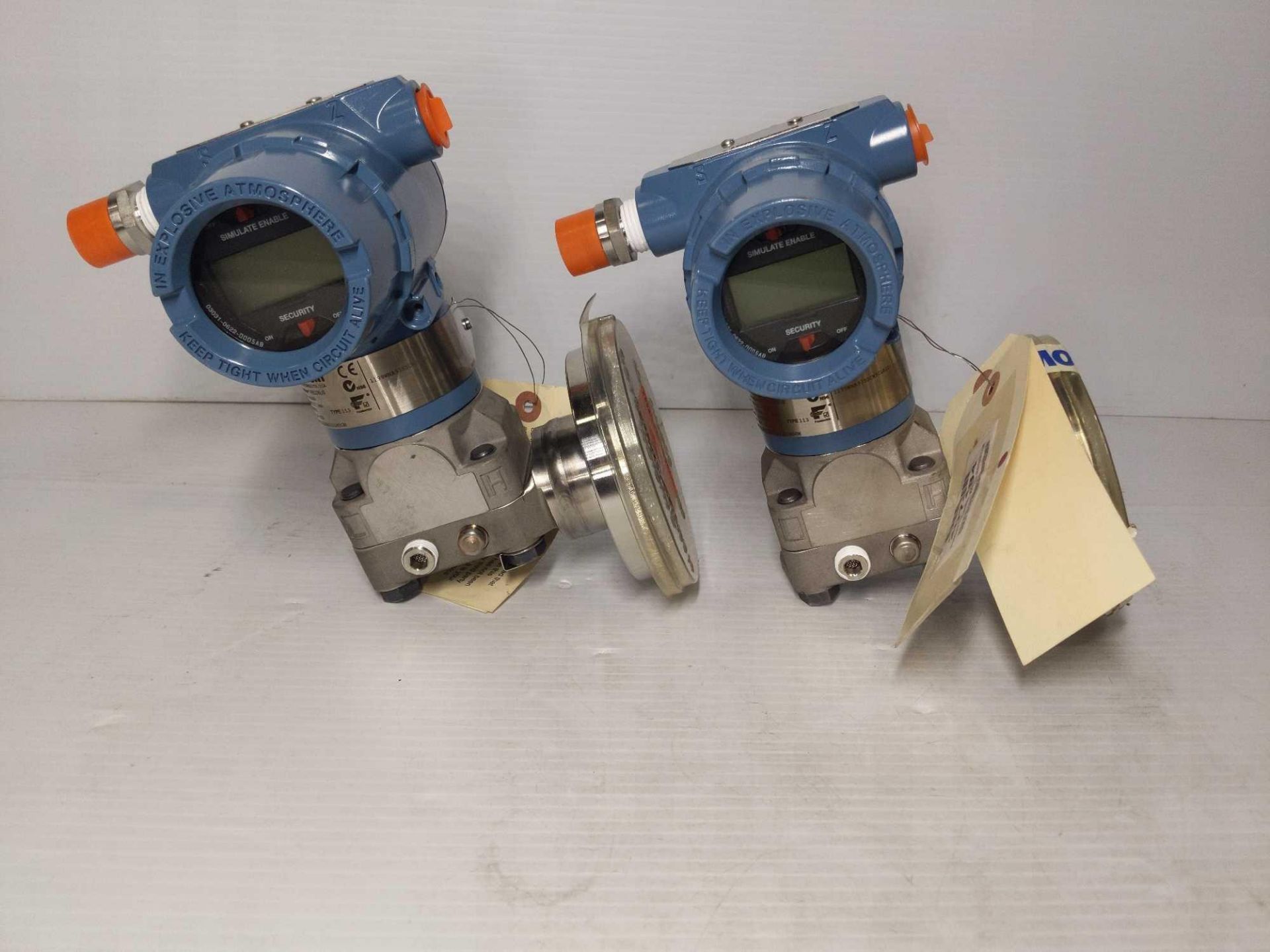 (2) Rosemount Pressure Transmitter and Remote Seal