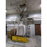 Bulk Bagger with Mettler Toledo Vibratory Scale