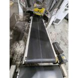 Belt Conveyor 80” L 20”W