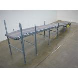 388"L x 42"W Case Belt Conveyor
