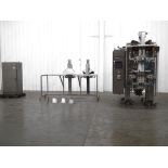 UVA Butler XL460 VFFS Bagger for Large Format Bags