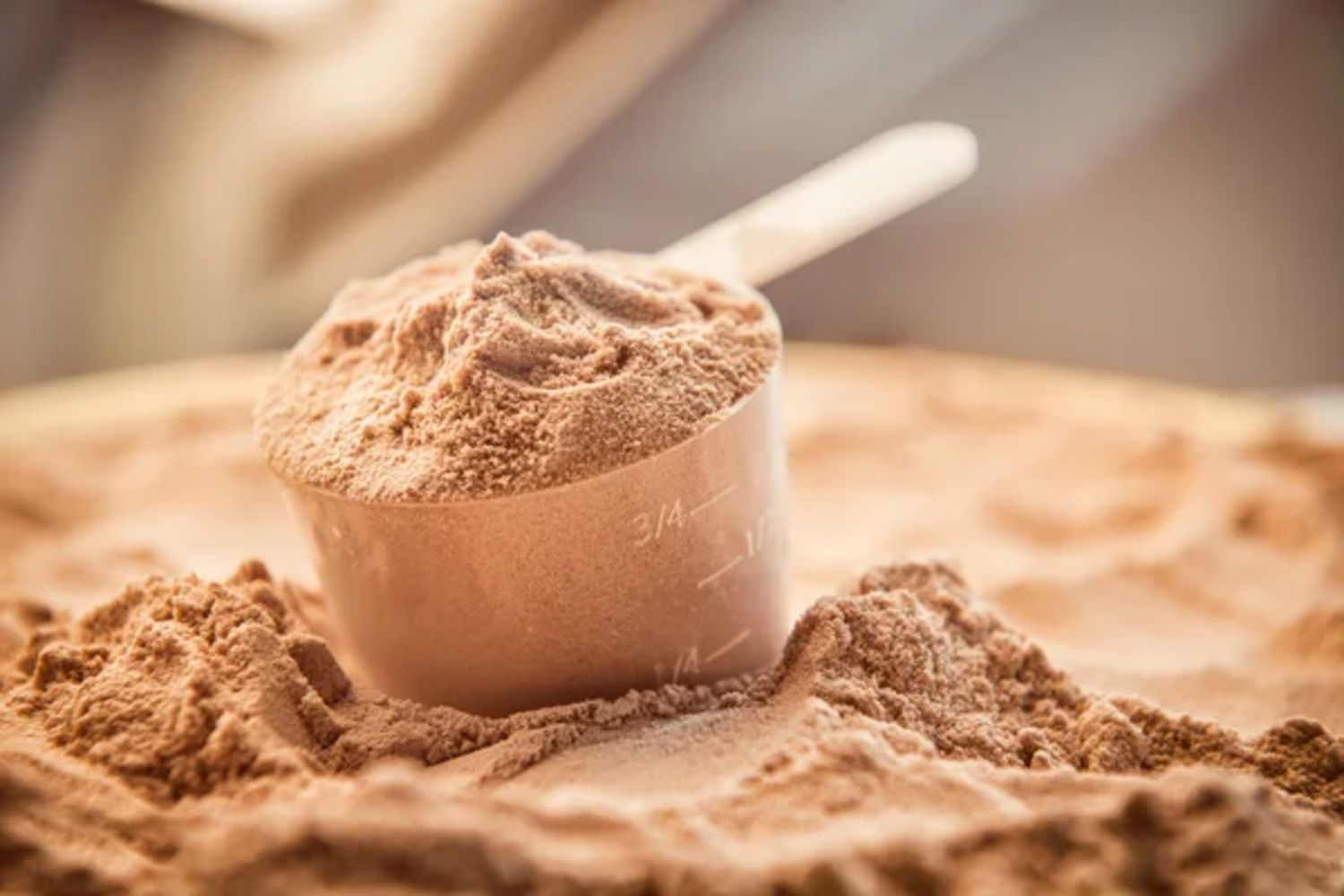 OFP Ingredients: Whey Protein Powder Agglomeration Processing and Packaging Auction