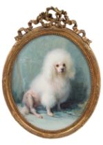 Alfred Georges Hoen (Bar-le-Duc 1869 - 1954 Paris), French School, Frou Frou, a white poodle