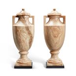 A Pair of Neoclassical Style Carved Alabaster Lidded Vases, Modern