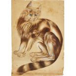 A study of a domestic cat, North India, Lucknow, circa 1845