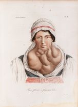 Alibert, Jean-Louis Nosologie naturelle. 1817. Maroquin rouge, armes de la duchesse de Berry. 24 bel