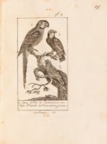 [Ornithologie] Album de 104 dessins originaux &#224; la plume. [D&#233;but XIXe si&#232;cle]. De la
