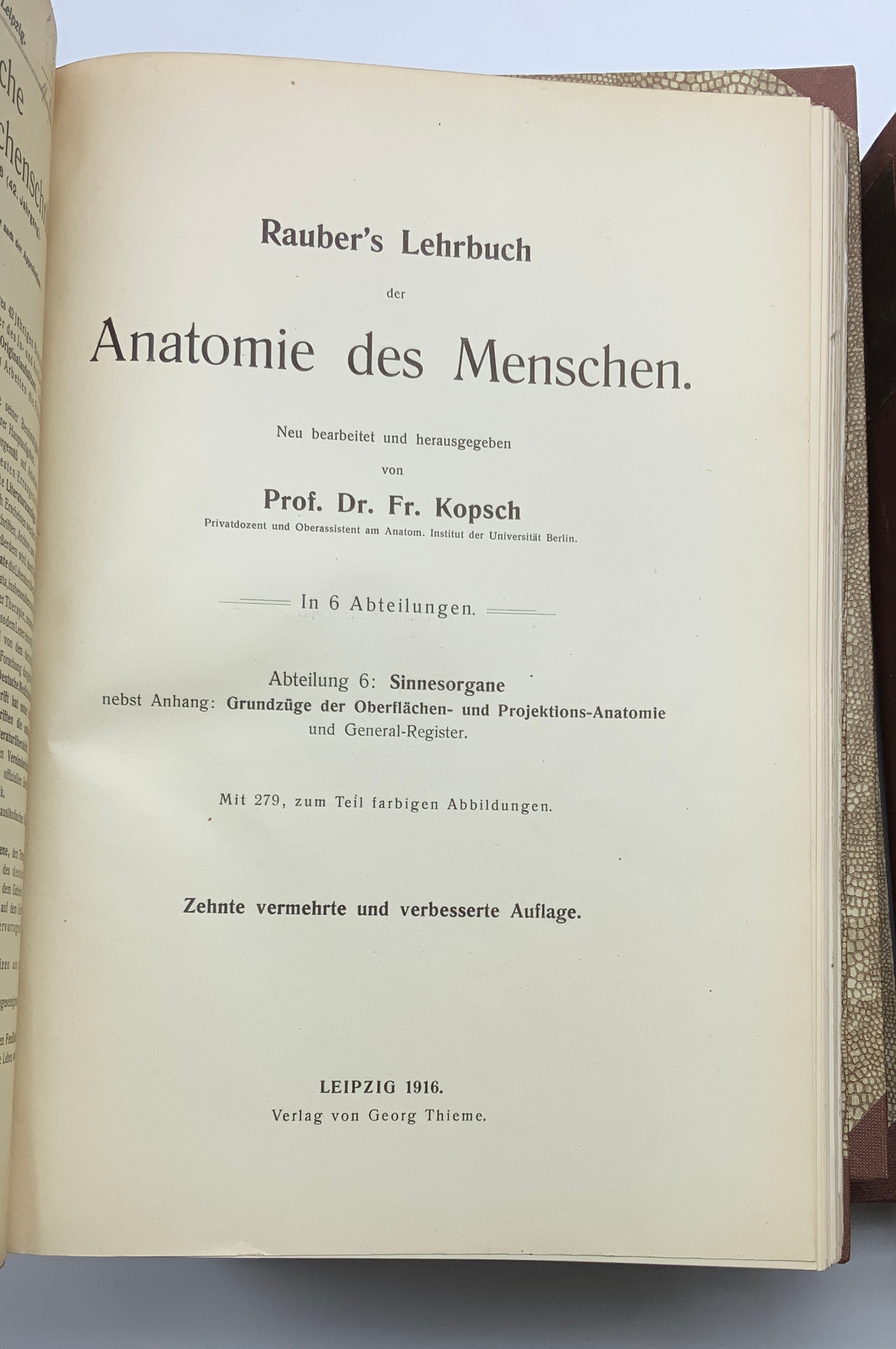 SET OF MEDICAL ANATOMY BOOKS (GERMAN) FROM the 1920s - Image 7 of 7