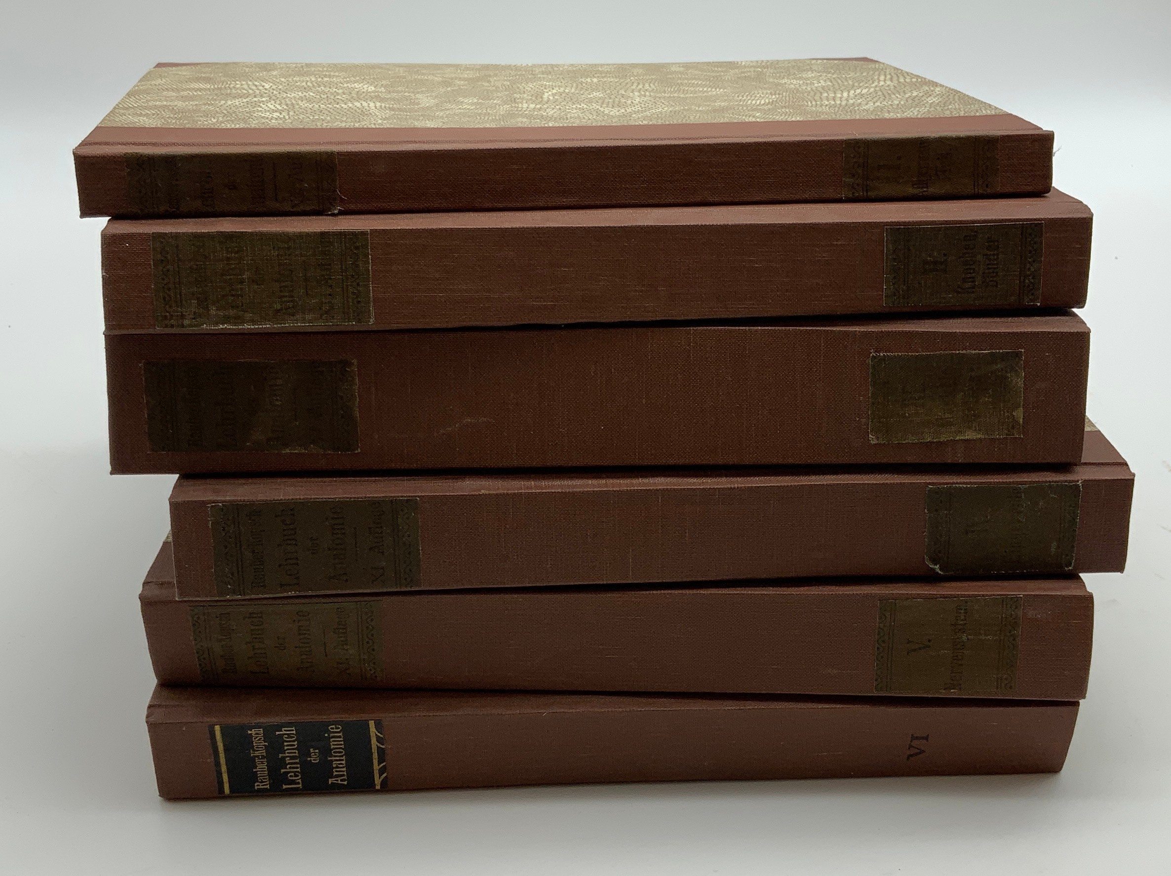 SET OF MEDICAL ANATOMY BOOKS (GERMAN) FROM the 1920s