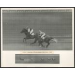 VINTAGE PRESS PHOTO "VEG" WINNING AT BIRMINGHAM 26th JUNE 1962