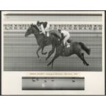 VINTAGE PRESS PHOTO "SUGAR DADDY" WINNING AT WINDSOR 30th JUNE 1962