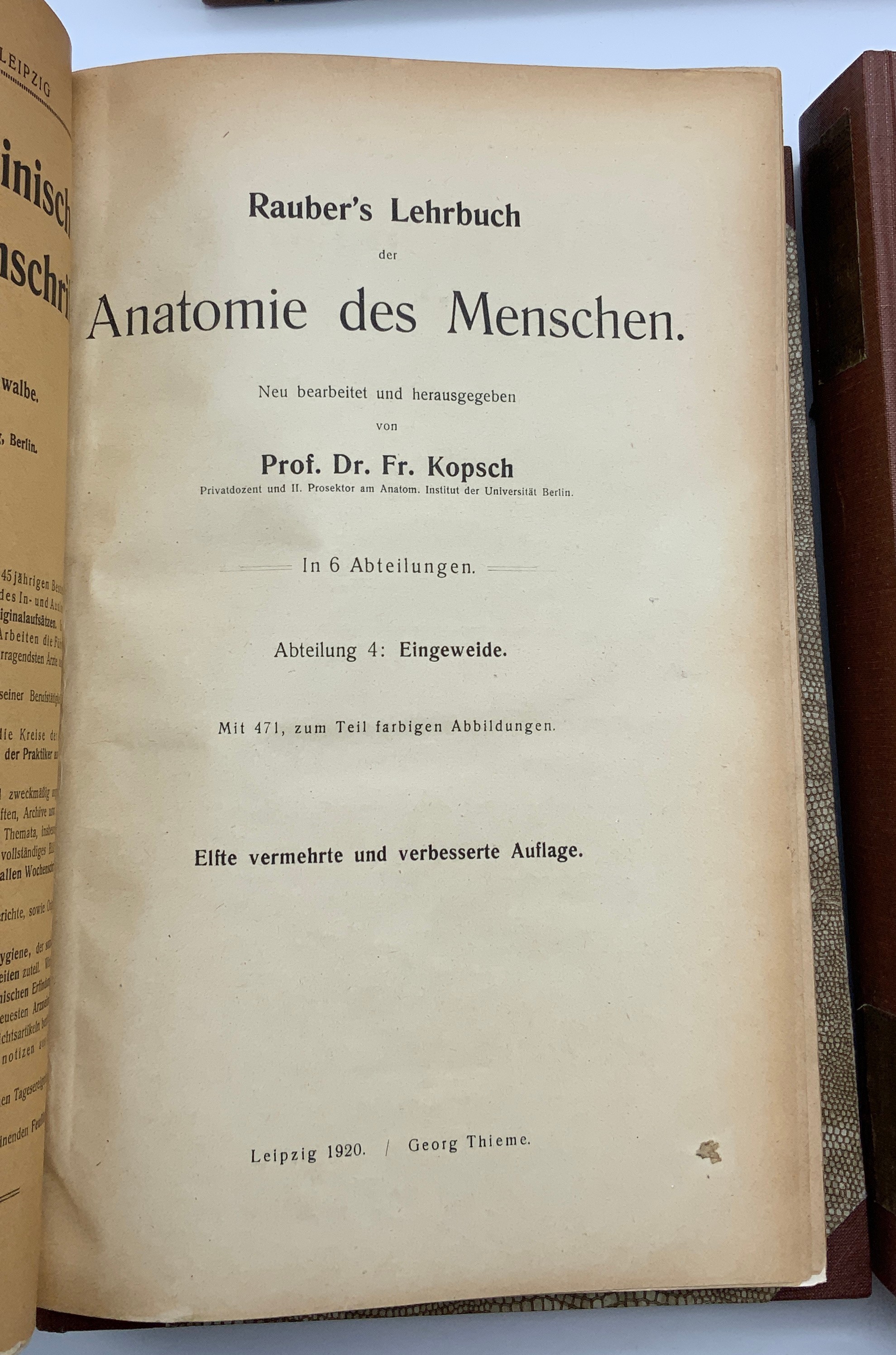 SET OF MEDICAL ANATOMY BOOKS (GERMAN) FROM the 1920s - Image 5 of 7