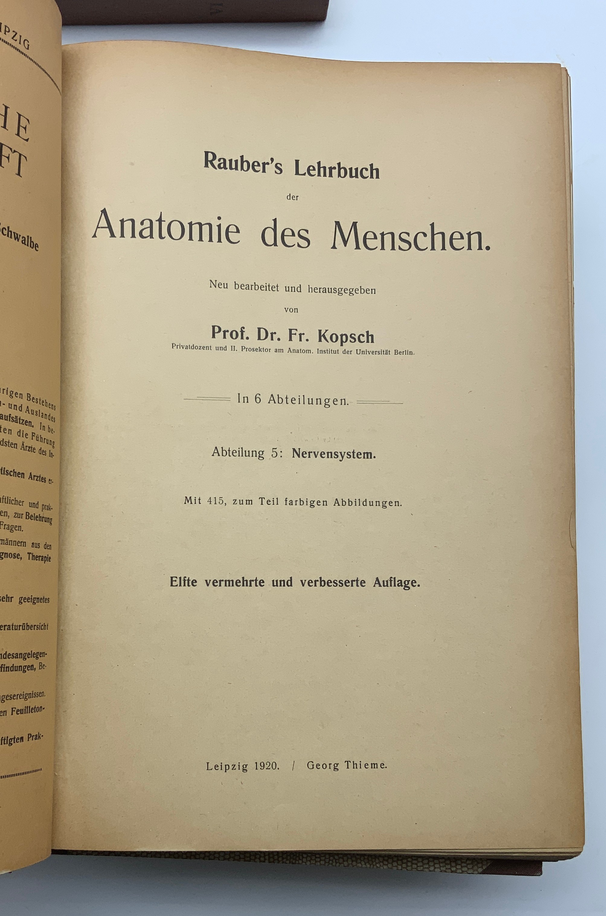 SET OF MEDICAL ANATOMY BOOKS (GERMAN) FROM the 1920s - Image 6 of 7