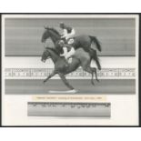 VINTAGE PRESS PHOTO "SUGAR DADDY" WINNING AT GOODWOOD 31st JULY 1962