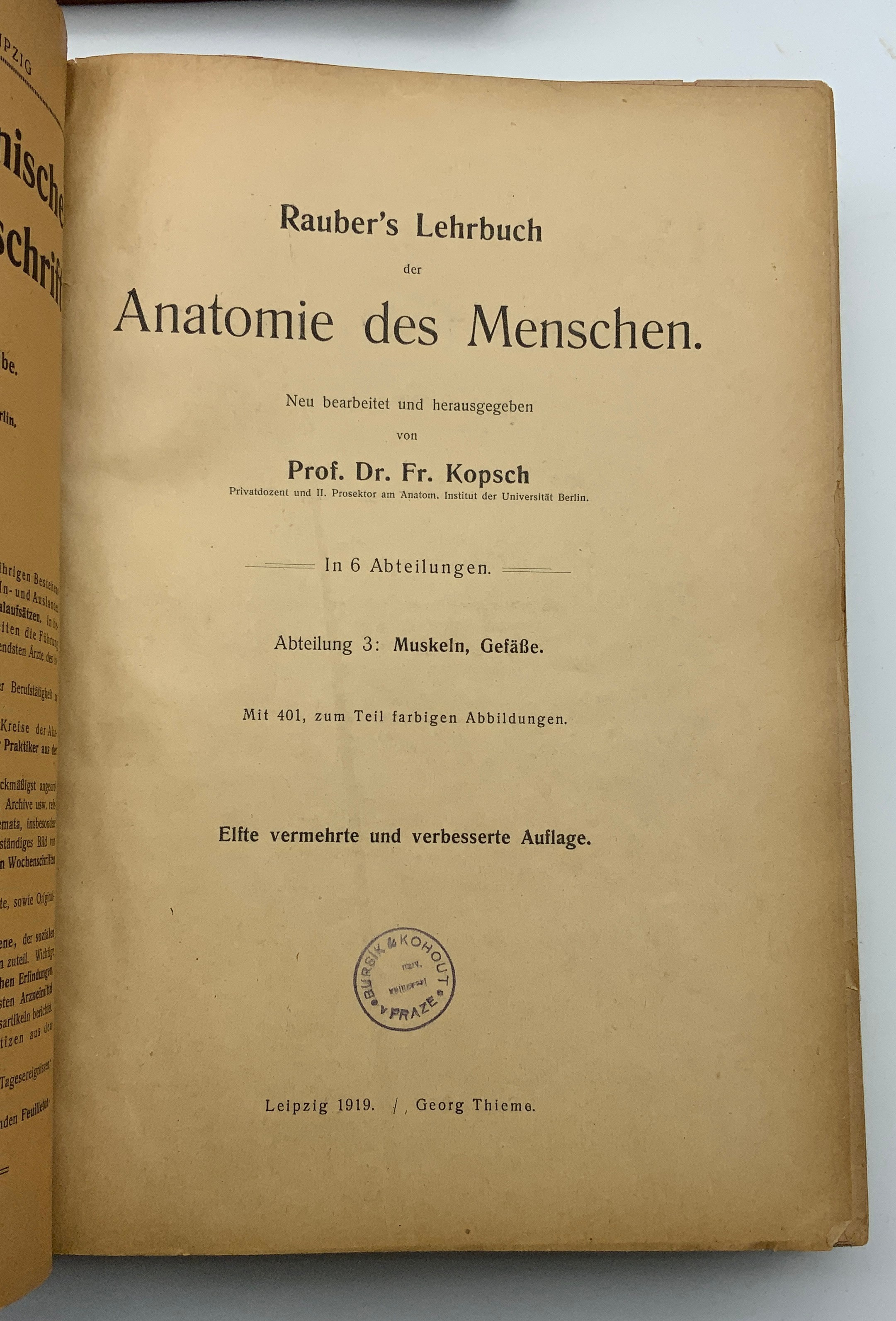 SET OF MEDICAL ANATOMY BOOKS (GERMAN) FROM the 1920s - Image 4 of 7