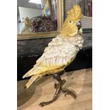 COLD PAINTED BRONZE PARAKEET 30CMS (H) APPROX