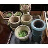 LARGE COLLECTION OF GARDEN POTS