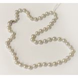 PEARL NECKLACE WITH 18CT GOLD CLASP