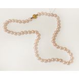 9CT GOLD CLASP PEARL NECKLACE