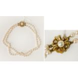 PEARL CHOKER NECKLACE WITH GOLD CLASP