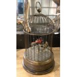 BIRDCAGE AUTOMATON