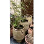 3 LARGE POTS WITH PLANTS