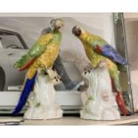 PAIR OF PORCELAIN PARROTS 42CMS (H) APPROX