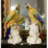 PAIR PORCELAIN PARROTS