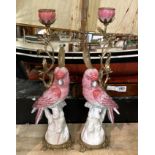 PAIR OF BRONZE & PORCELAIN PINK PARAKEET CANDLESTICKS 41.5CMS (H) APPROX