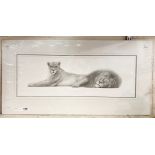 SIGNED LTD EDITION PRINT FROM A DRAWING OF A LION BY GARY HODGES