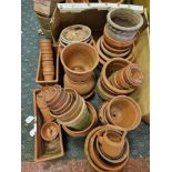 COLLECTION OF TERRACOTTA POTS