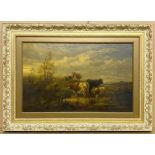 UNSIGNED OIL ON BOARD CATTLE IN A FIELD - 28 X 44 CMS APPROX