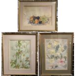 THREE ANN ROBINSON SIGNED & FRAMED STILL LIFE WATERCOLOURS