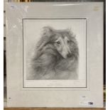 SIGNED LTD EDITION PRINT OF SHETLAND SHEEPDOG BY GARY HODGES