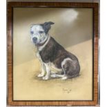 MARJORIE COX - PASTEL - STUDY OF A DOG