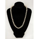 9CT GOLD PEARL NECKLACE