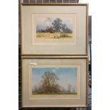 2 DAVID SHEPHERD PRINTS - SIGNED 39CMS (H) X 57CMS (H) PICTURE ONLY