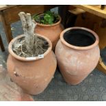 3 SMALL TERRACOTTA POTS