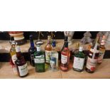 12 BOTTLES OF ALCOHOL - WHISKY, BRANDY & OTHERS