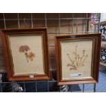 KARIM (XX CENTURY) TWO HERBARIUM PAINTINGS 23CM X 18CM