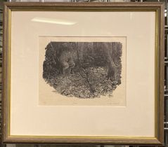 DONALD MYALL (ENGLISH XX CENTURY) ''ENGRAVING - FOX'' SIGNED & NUMBERED LIMITED EDITION 27/75